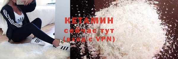 трава Аркадак