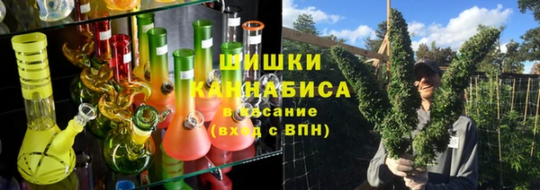 трава Аркадак